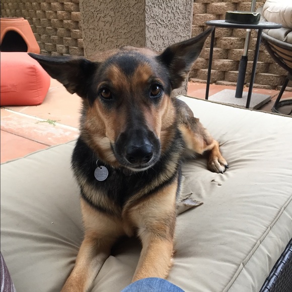 Hmu w/ Stussy - Picture 1 of 1